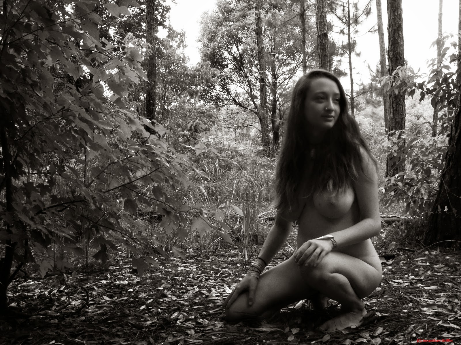 See the source image