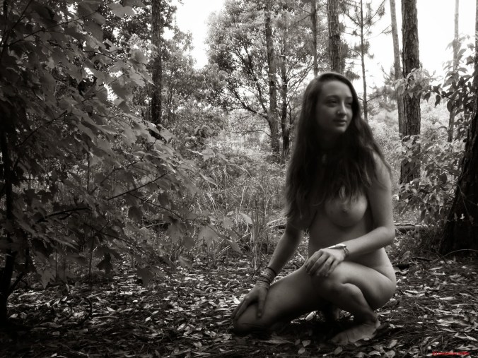 See the source image